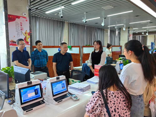 珠暉區教育局 聚焦教育動態，服務區域發展